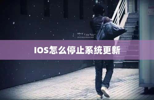 IOS怎么停止系统更新