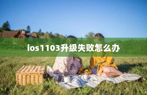 ios1103升级失败怎么办