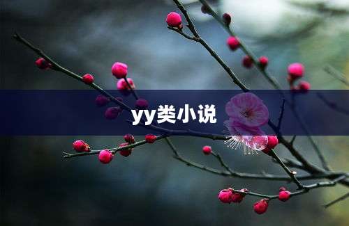 yy类小说