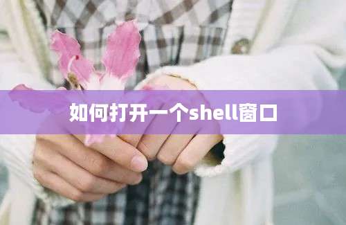 如何打开一个shell窗口