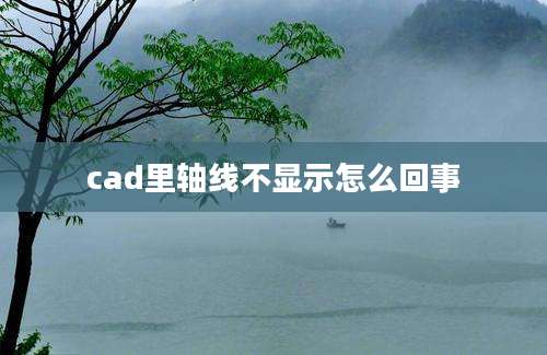 cad里轴线不显示怎么回事