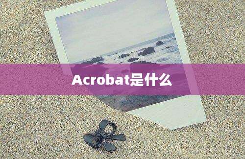 Acrobat是什么