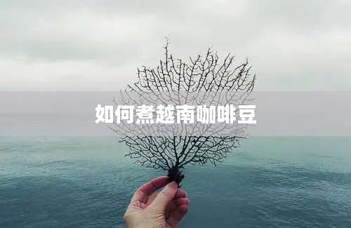 如何煮越南咖啡豆