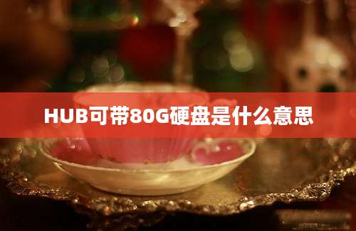 HUB可带80G硬盘是什么意思