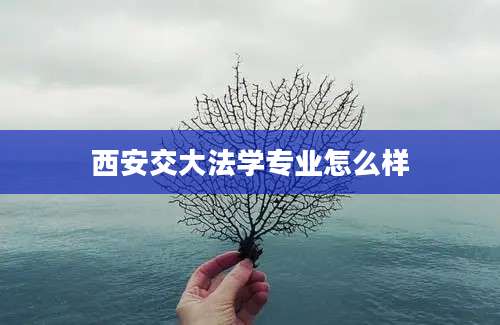 西安交大法学专业怎么样