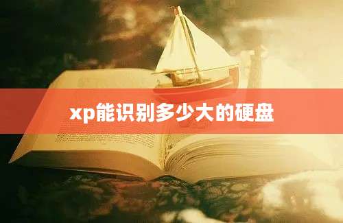 xp能识别多少大的硬盘