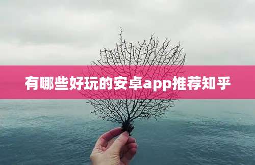 有哪些好玩的安卓app推荐知乎