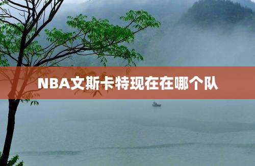 NBA文斯卡特现在在哪个队