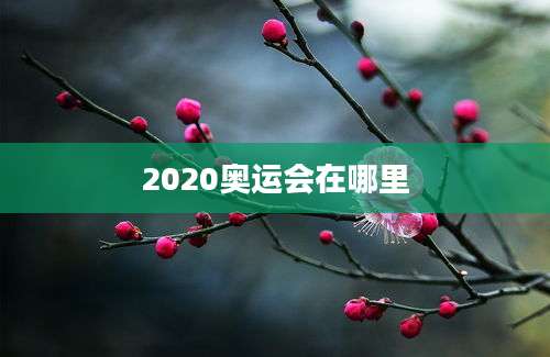 2020奥运会在哪里