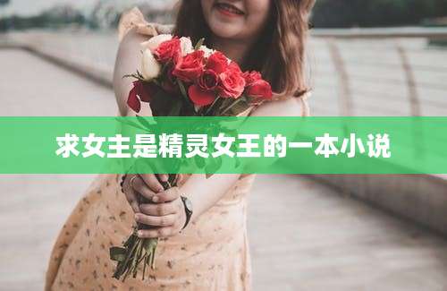 求女主是精灵女王的一本小说