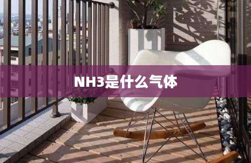 NH3是什么气体