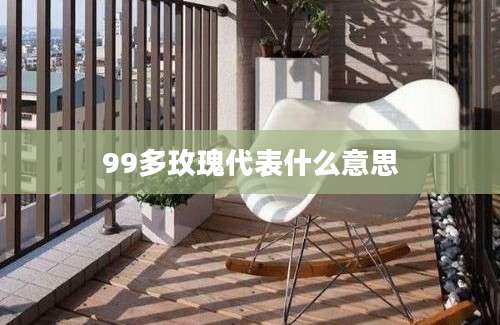 99多玫瑰代表什么意思