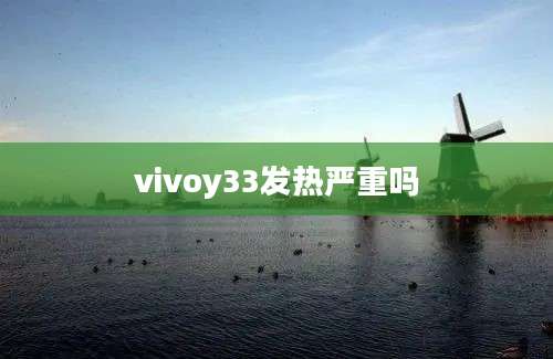 vivoy33发热严重吗