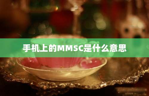 手机上的MMSC是什么意思