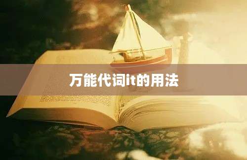 万能代词it的用法