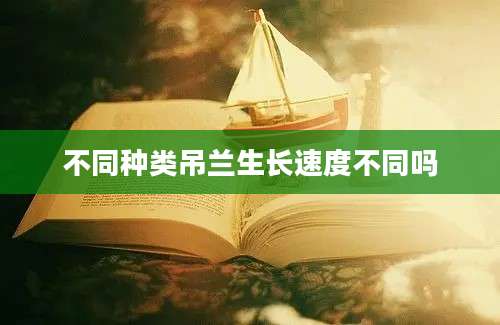 不同种类吊兰生长速度不同吗