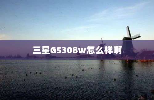 三星G5308w怎么样啊