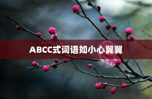 ABCC式词语如小心翼翼