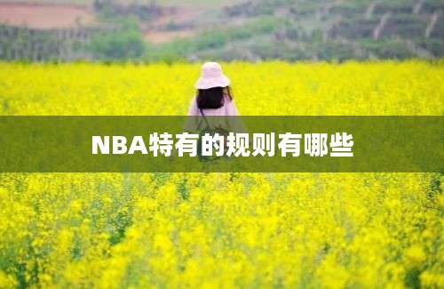 NBA特有的规则有哪些