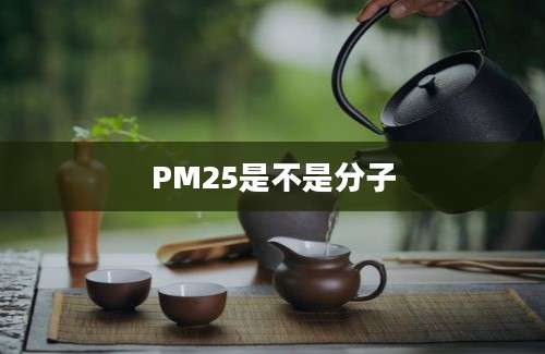 PM25是不是分子