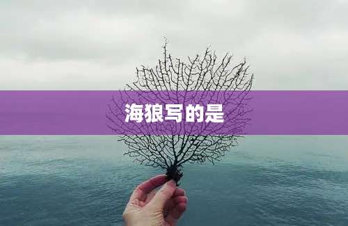 海狼写的是