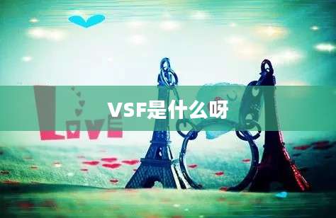 VSF是什么呀