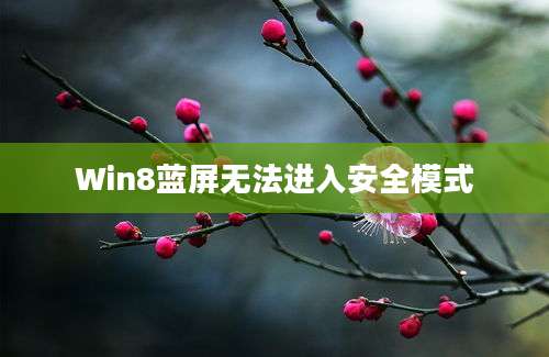 Win8蓝屏无法进入安全模式