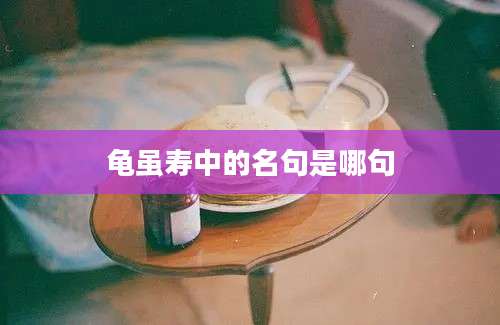 龟虽寿中的名句是哪句