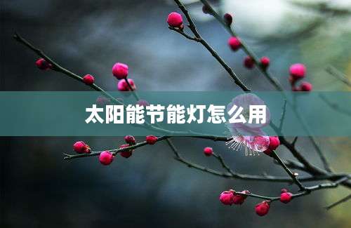 太阳能节能灯怎么用