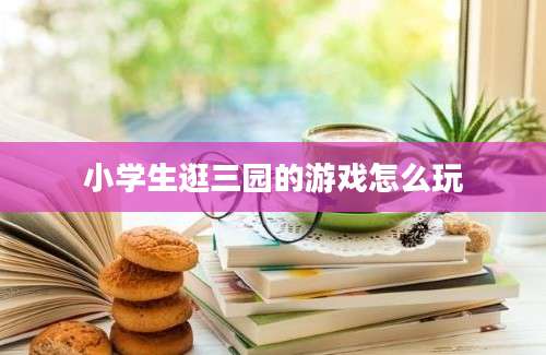 小学生逛三园的游戏怎么玩