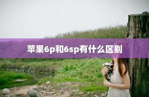 苹果6p和6sp有什么区别