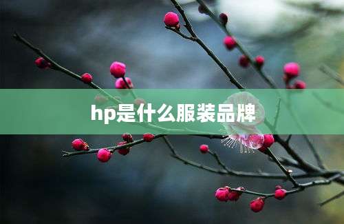 hp是什么服装品牌