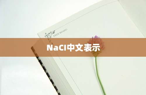 NaCI中文表示