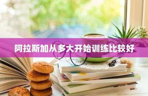 阿拉斯加从多大开始训练比较好