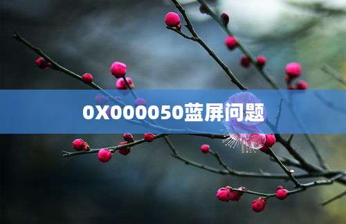 0X000050蓝屏问题