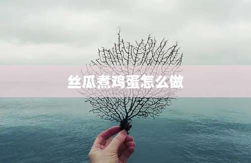 丝瓜煮鸡蛋怎么做