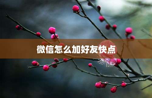 微信怎么加好友快点