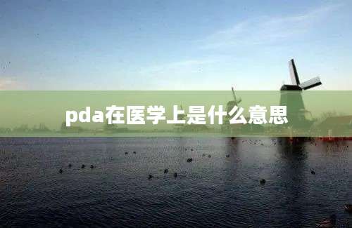 pda在医学上是什么意思