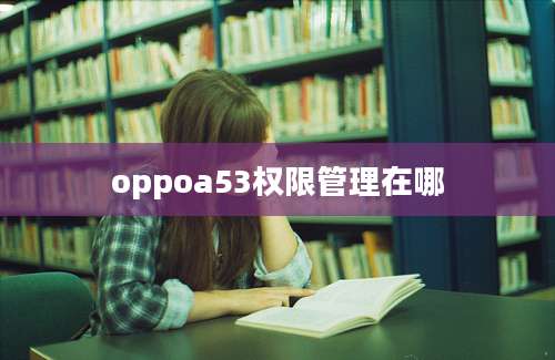 oppoa53权限管理在哪