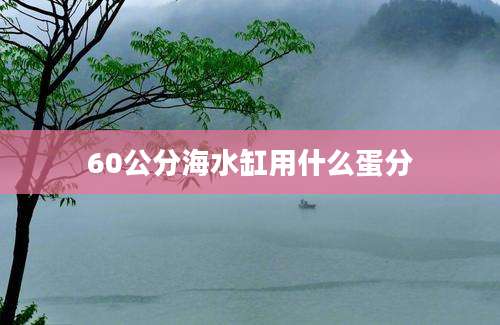 60公分海水缸用什么蛋分