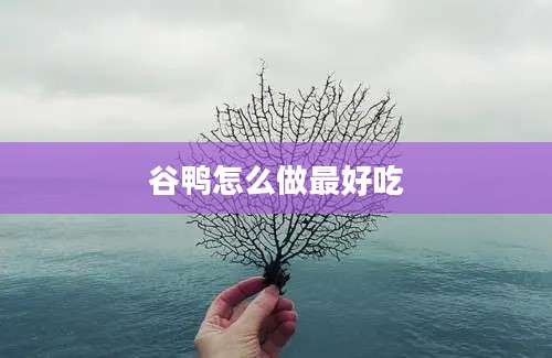 谷鸭怎么做最好吃