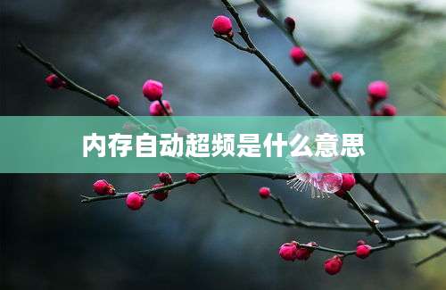 内存自动超频是什么意思