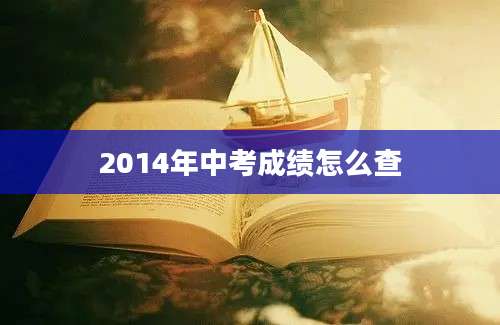 2014年中考成绩怎么查