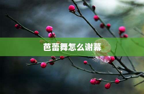 芭蕾舞怎么谢幕