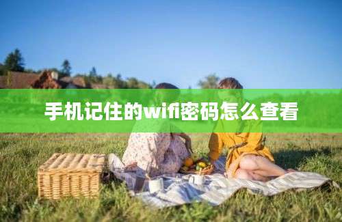 手机记住的wifi密码怎么查看