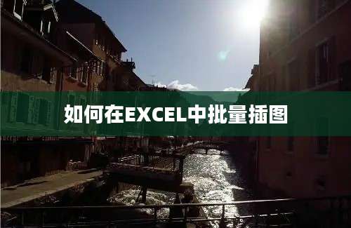 如何在EXCEL中批量插图