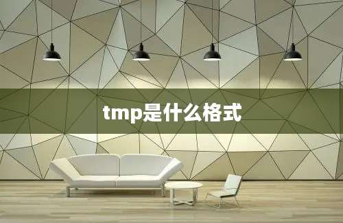 tmp是什么格式