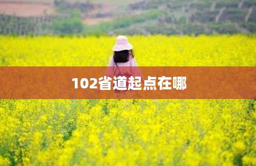 102省道起点在哪