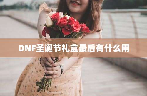 DNF圣诞节礼盒最后有什么用