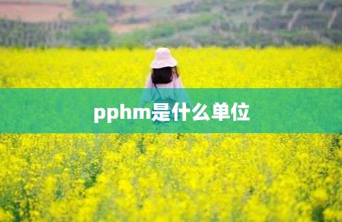 pphm是什么单位